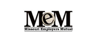 MEM Logo